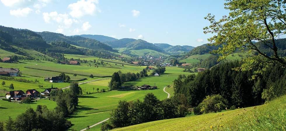 Gasthaus Zum Wilden Mann Welschensteinach Ngoại thất bức ảnh